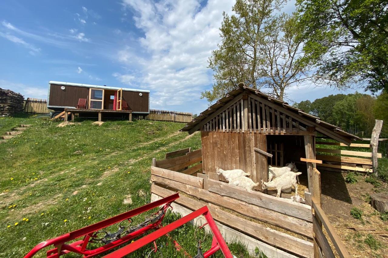 Maringotka Na Samote Na Kozi Farme Otel Pobezovice Dış mekan fotoğraf