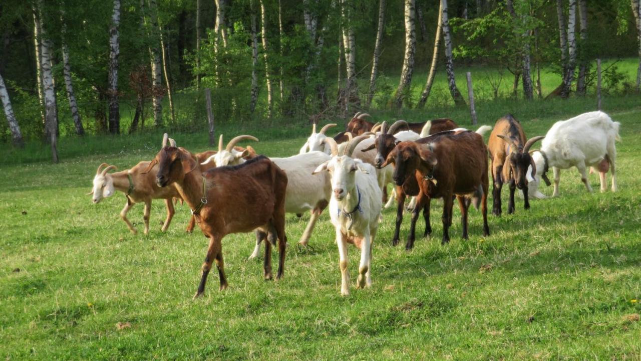 Maringotka Na Samote Na Kozi Farme Otel Pobezovice Dış mekan fotoğraf